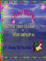 tuần 4: Tre Việt Nam