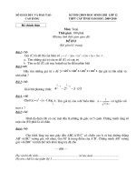 Đề thi HSG lớp 12 môn Toán năm học 2009-2010