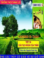 Tiết 14. Cấu tạo ngoài của thân (Kèm theo clip chuẩn)