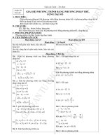 TỰ CHỌN TOÁN 9 HKII - CÀ MAU