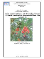 Nghiên cứu tăng trưởng các loài cây cóc đỏ (Lumnitzera Littorea (Jack) Voigt) với các chế độ muối khác nhau ở giai đoạn vườn ươm