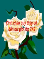 tiếng ve gọi hè