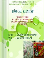 báo cáo thực tập sản xuất trà