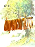 Cau tao trong than non