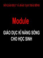 To chuc GD KNS cho hoc sinh.ppt