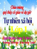 AN TOÀN TRÊN ĐƯỜNG ĐI HỌC - LỚP 1