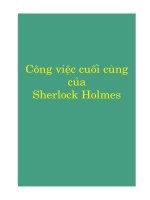 Sherlock Holmes -Cong viec cuoi cung cua Sherlock Holmes