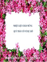 pt da thuc thanh nhan tu bang pp nhom