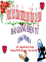 Thực hành : Cắm hoa dạng nghiêng