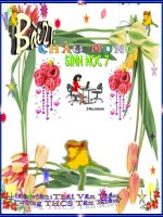 Bài 27: Đa dạng của bò sát (Sinh 7)