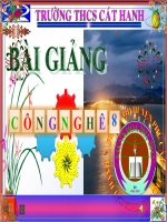 Tiêt 18: Dụng cụ cơ khí.