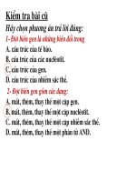 Bài 22. Đột biến cấu trúc NST