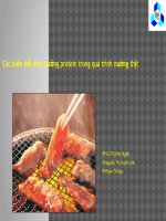 BIEN DOI DINH DUONG TRONG NUONG THIT