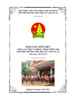 BÁO CÁO TK CÔNG TÁC ĐỘI 2010-2011