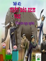 T40. NV6 Thầy bói xem voi.