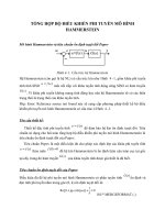 tổng hợp bộ điều khiển phi tuyến mô hình hammerstein