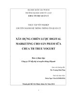 Xây dựng chiến dịch Digital marketing cho sản phẩm sữa chua TH True Yogurt