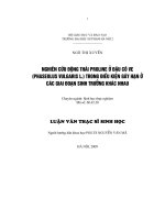 Nghiên cứu động thái proline ở đậu cô ve (phaseolus vulgaris l ) trong điều kiện gây hạn ở các giai đoạn sinh trưởng khác nhau