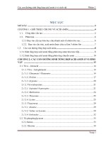 Báo cáo hóa sinh các con đường sinh tổng hợp acid amin ở vi sinh vật