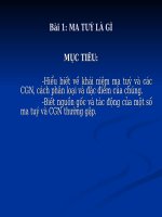 Bài 1: MA TUÝ LÀ GÌ (Tập huấn phòng chống ma túy học đường )