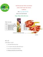 Báo cáo chuyên đề thực phẩm biến đổi gen