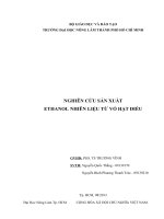 Nghiên cứu sản xuất ETHANOL nhiên liệu từ vỏ hạt điều