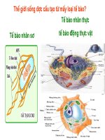bai 7 : Tế bào nhân sơ