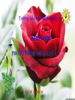 KH T8- PHONG BENH VIEM GAN- HAY