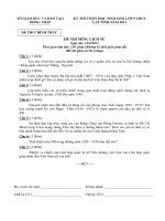 đề HSG cấp tỉnh môn sử 10 -11