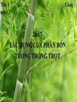 bài7.tác dụng của phân bón trong trồng trọt