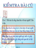 bài lịch sự tế nhị