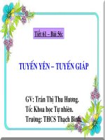 TUYẾN YÊN - TUYẾN GIÁP (SH8)
