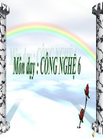 tiết 17- ôn tập chương I