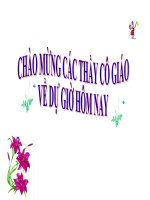 Bài 17 Vận chuyển các chất trong thân