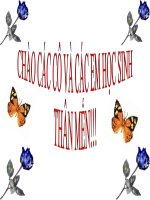 luyen tap mieu ta cay coi