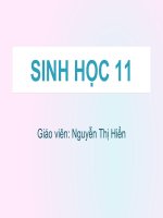 bài 12: hô hấp ở thực vật