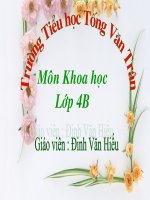 bai . khoa hoc - ban cam thay the nao khi bi benh ?