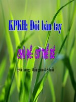 khám phá đôi bàn tay