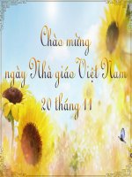 Lớp 7 Bài 13 chữ trang trí