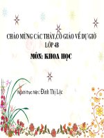 GA khoa học lớp 4: Ăn nhiều rau và quả chín...