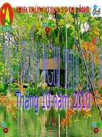 TẬP HUẤN PHỤ TRÁCH CHI VÀ BCH