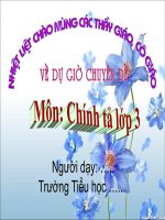 Chính tả Người mẹ