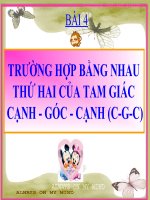 Trường hợp bằng nhau thứ hai của  tam giác: cạnh – góc – cạnh (c.g.c)