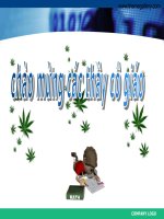 ve hinh elip, hinh tron