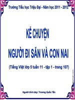 NGUOI DI SAN VA CON NAI - TUAN 11