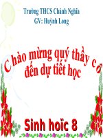 bài 11. Tiến hóa hệ vận động