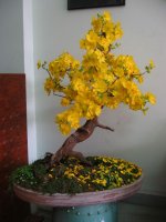 Bài 15:Vệ sinh thần kinh