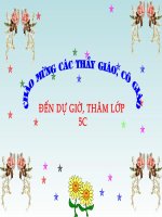 bài 15: phòng bệnh viêm gan A