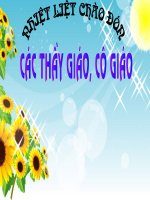 Tếng đàn Ba -la -lai -ca trên sông Đà (lớp 5)