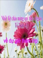 Quy đồng mẫu nhiều phân số (T2)